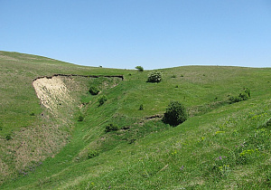GallerImg